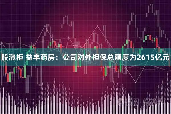 股涨柜 益丰药房：公司对外担保总额度为2615亿元