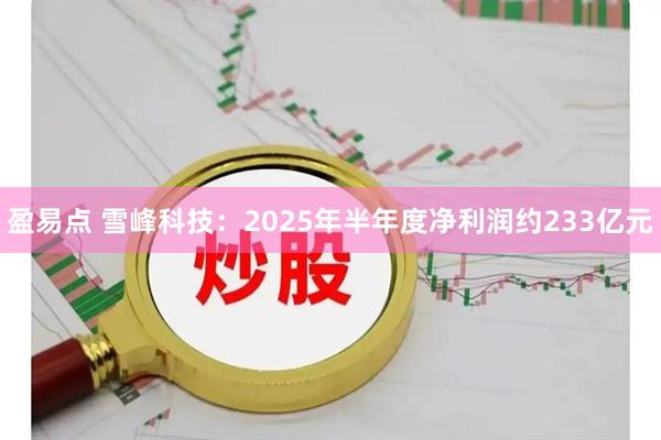 盈易点 雪峰科技：2025年半年度净利润约233亿元
