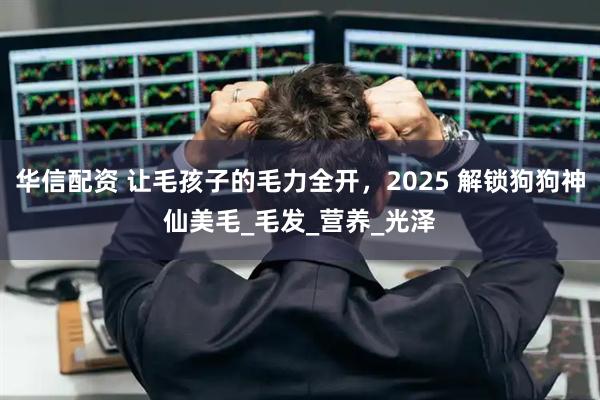 华信配资 让毛孩子的毛力全开，2025 解锁狗狗神仙美毛_毛发_营养_光泽