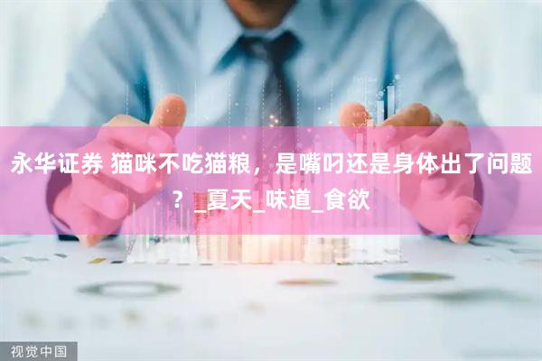 永华证券 猫咪不吃猫粮，是嘴叼还是身体出了问题？_夏天_味道_食欲