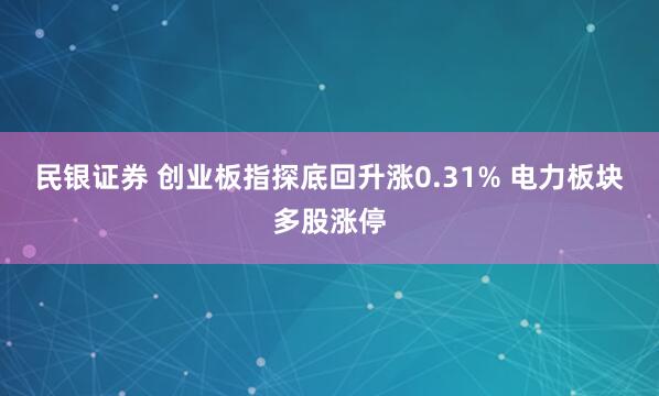 民银证券 创业板指探底回升涨0.31% 电力板块多股涨停
