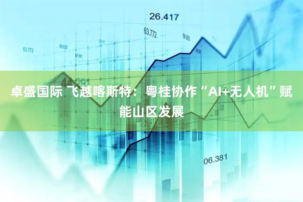 卓盛国际 飞越喀斯特：粤桂协作“AI+无人机”赋能山区发展