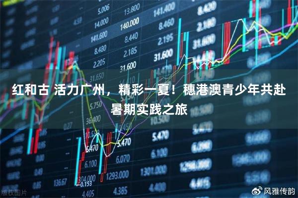 红和古 活力广州，精彩一夏！穗港澳青少年共赴暑期实践之旅